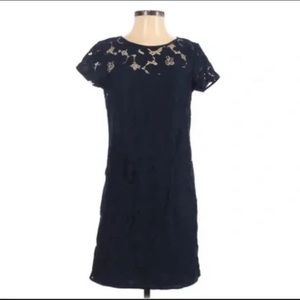 LOFT Lace Overlay Dress